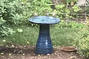 80 Apple Blossom Ct, Nellysford, VA 22958 - Photo 36