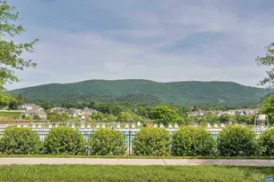 2006 Larkin Ave, Crozet, VA 22932 - Photo 28