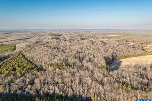 25805 N James Madison Hwy, New Canton, VA 23123 - Photo 14