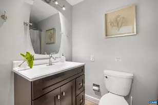 340 Grassmere Rd, Charlottesville, VA 22903 - Photo 56