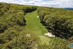 1808 High Ridge Ct Condos, Wintergreen Resort, VA 22967 - Photo 44