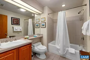 1808 High Ridge Ct Condos, Wintergreen Resort, VA 22967 - Photo 26