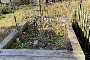 311 5th St, Charlottesville, VA 22902 - Photo 28