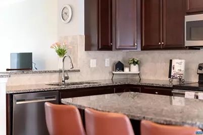 239 Pebble Beach Ct, Charlottesville, VA 22901 - Photo 24