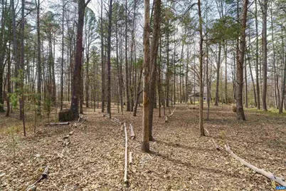 5695 Free Union Rd, Free Union, VA 22940 - Photo 66