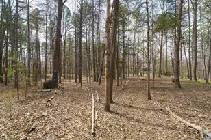 5695 Free Union Rd, Free Union, VA 22940 - Photo 66