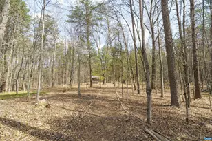 5695 Free Union Rd, Free Union, VA 22940 - Photo 52