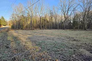 1 441 Ac Physic Spring Rd, Dillwyn, VA 23936 - Photo 1