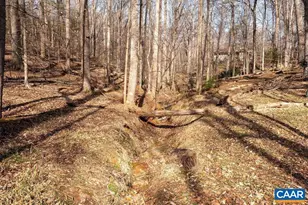 409 Westmoreland Ct, Charlottesville, VA 22901 - Photo 50