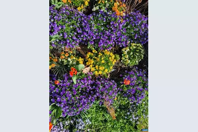 128 Rockfish Orchard Dr, Afton, VA 22920 - Photo 30