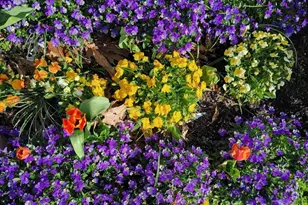 128 Rockfish Orchard Dr, Afton, VA 22920 - Photo 30