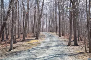 4444 Woods Edge Rd, Charlottesville, VA 22974 - Photo 74