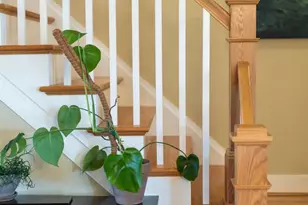 310 Harris Rd, Charlottesville, VA 22903 - Photo 20