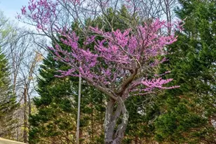 1165 Fortune's Cove Ln, Lovingston, VA 22949 - Photo 6