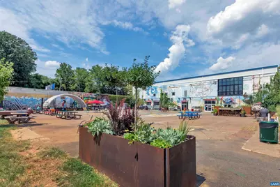 502 Druid Ave, Charlottesville, VA 22902 - Photo 38