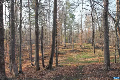 42 Shadwell Rd, Keswick, VA 22947 - Photo 42