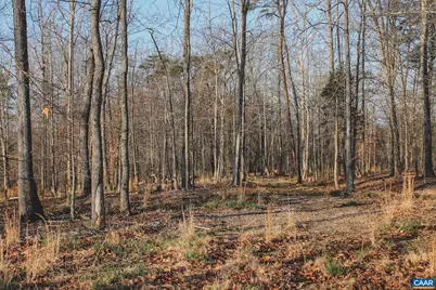 42 Shadwell Rd, Keswick, VA 22947 - Photo 70