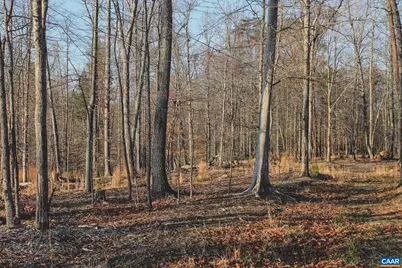 42 Shadwell Rd, Keswick, VA 22947 - Photo 68