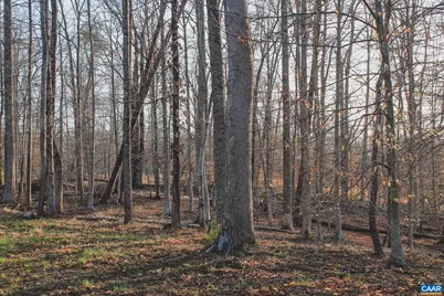 42 Shadwell Rd, Keswick, VA 22947 - Photo 52