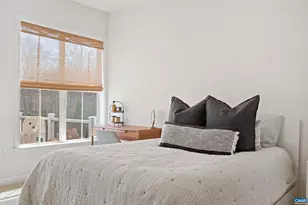 390 Bishopgate Ln, Crozet, VA 22932 - Photo 52