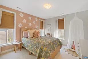 390 Bishopgate Ln, Crozet, VA 22932 - Photo 42