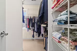 821 Cole St, Charlottesville, VA 22901 - Photo 28