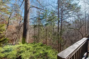 1381 Gristmill Dr, Charlottesville, VA 22902 - Photo 24