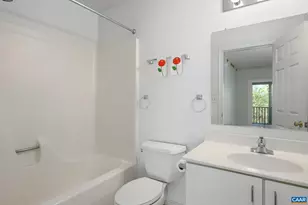 1294 Millpond Rd, Charlottesville, VA 22902 - Photo 14