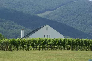 395 Burchs Creek Rd, Crozet, VA 22932 - Photo 28