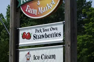 395 Burchs Creek Rd, Crozet, VA 22932 - Photo 26