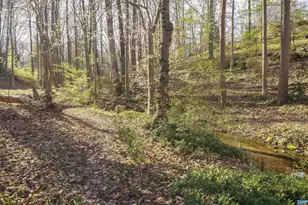 104 Smithfield Ct, Charlottesville, VA 22901 - Photo 12