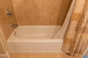 1813 Westerham St, Keswick, VA 22947 - Photo 72