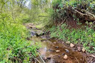 108 Bollingbrook Dr, Charlottesville, VA 22911 - Photo 2