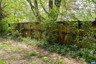 822 Monticello Ave, Charlottesville, VA 22902 - Photo 38