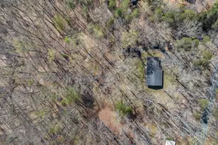 2793 Milton Rd, Charlottesville, VA 22902 - Photo 46