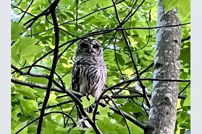 2236 Craigs Store Rd, Afton, VA 22920 - Photo 72