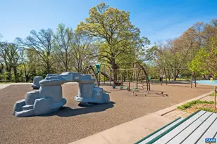 731 Orangedale Ave, Charlottesville, VA 22903 - Photo 52