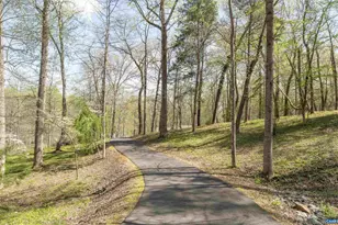 2700 Willow Oak Cir, Charlottesville, VA 22901 - Photo 4