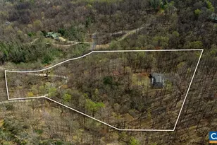 472 Horseshoe Mountain Rd, Roseland, VA 22967 - Photo 4