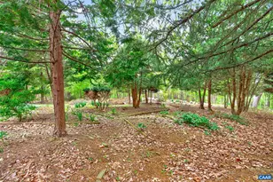 1670 Milton Rd, Charlottesville, VA 22902 - Photo 38