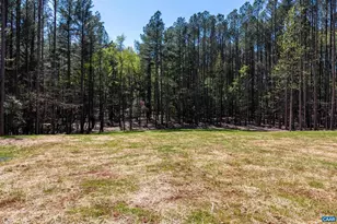 21 Acres Tbb Garth Gate Ln, Charlottesville, VA 22903 - Photo 14
