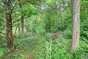 2425 Jefferson Park Ave, Charlottesville, VA 22903 - Photo 62