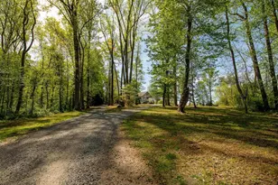 1671 Dudley Mountain Rd, Charlottesville, VA 22903 - Photo 38