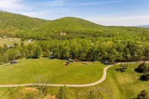 1671 Dudley Mountain Rd, Charlottesville, VA 22903 - Photo 46