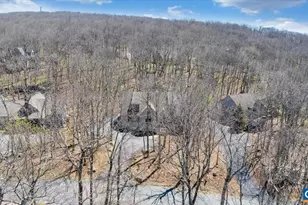115 Hemlock Dr, Wintergreen Resort, VA 22967 - Photo 62