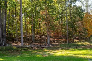 7337-B Dick Woods Rd, Afton, VA 22920 - Photo 8