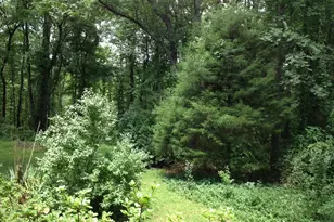 954 Old Lynchburg Rd, Charlottesville, VA 22903 - Photo 34