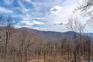 327 Crawfords Edge, Roseland, VA 22967 - Photo 72