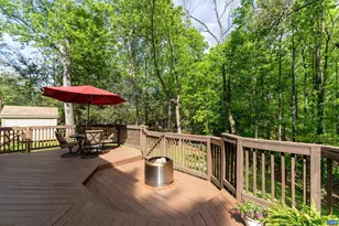 220 Homestead Ln, Charlottesville, VA 22902 - Photo 40