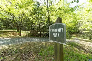 220 Homestead Ln, Charlottesville, VA 22902 - Photo 58